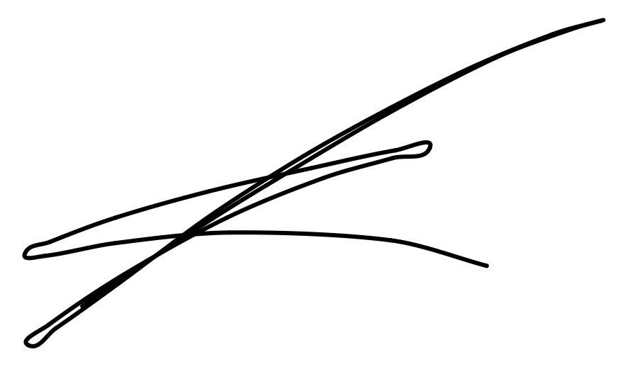 Name of person completing the form